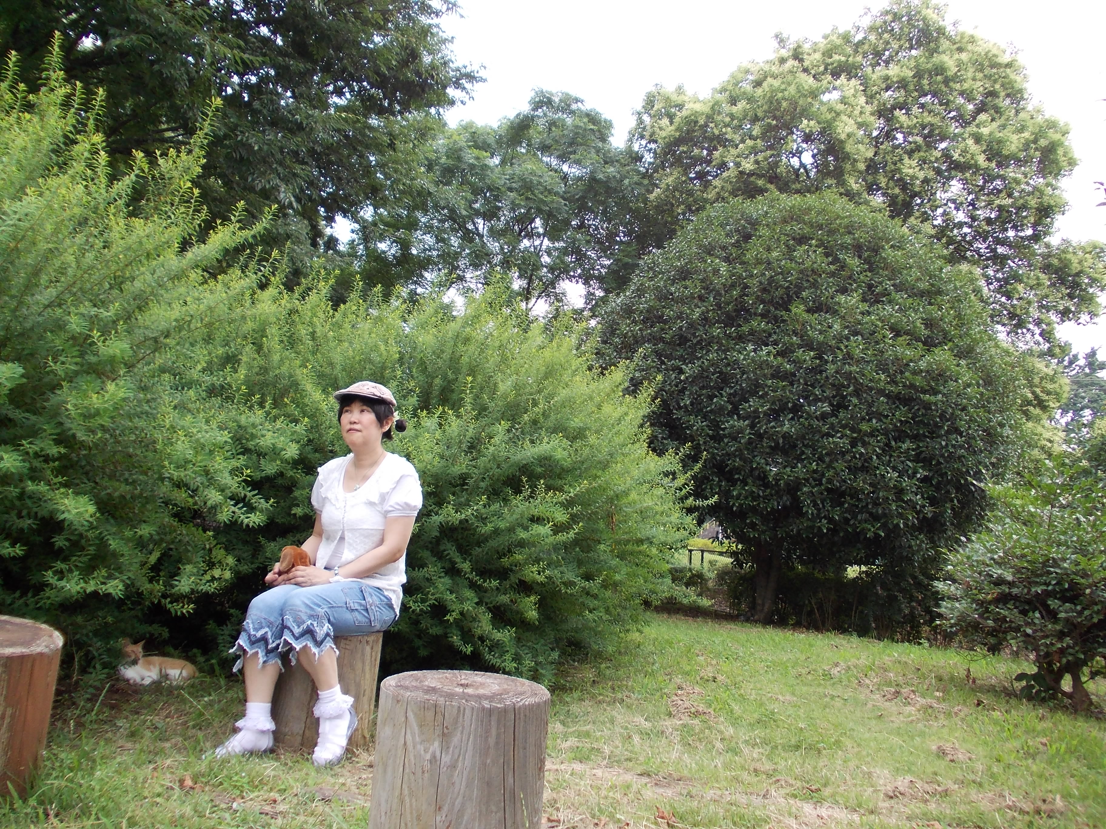 Yorikoです